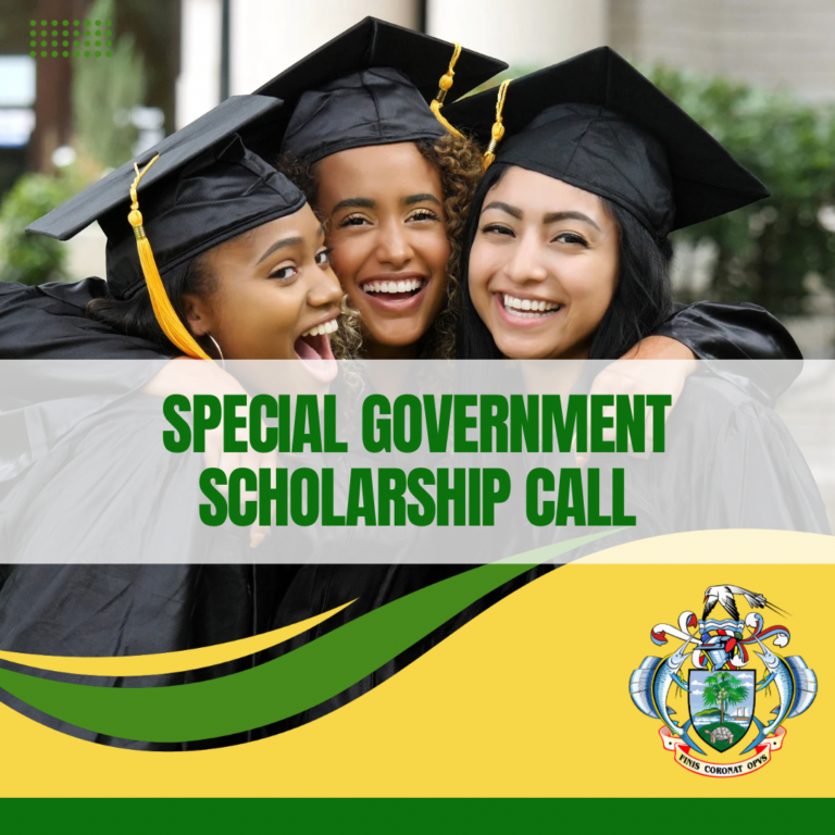 Special Government Scholarships